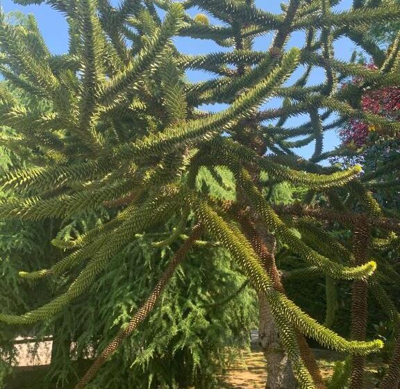 민박 La Casa Di Laura