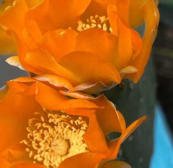 민박 La Casa Di Laura