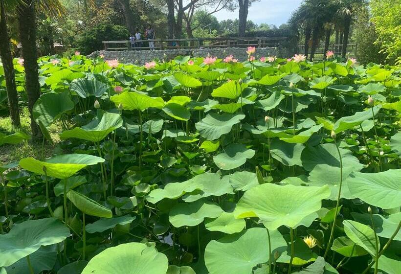 민박 La Casa Di Laura