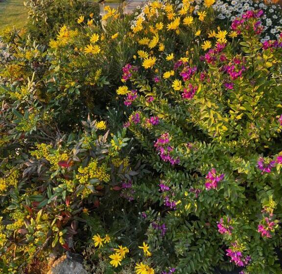 민박 La Casa Di Laura