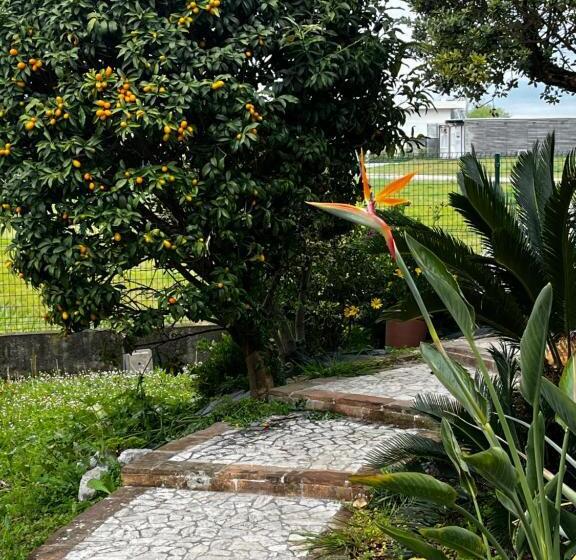 민박 La Casa Di Laura