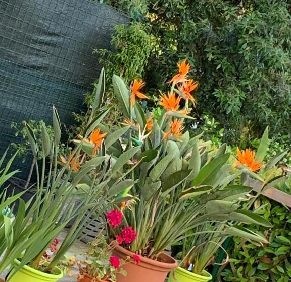 민박 La Casa Di Laura