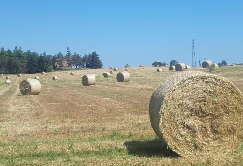 مبيت وإفطار La Casa Nella Prateria