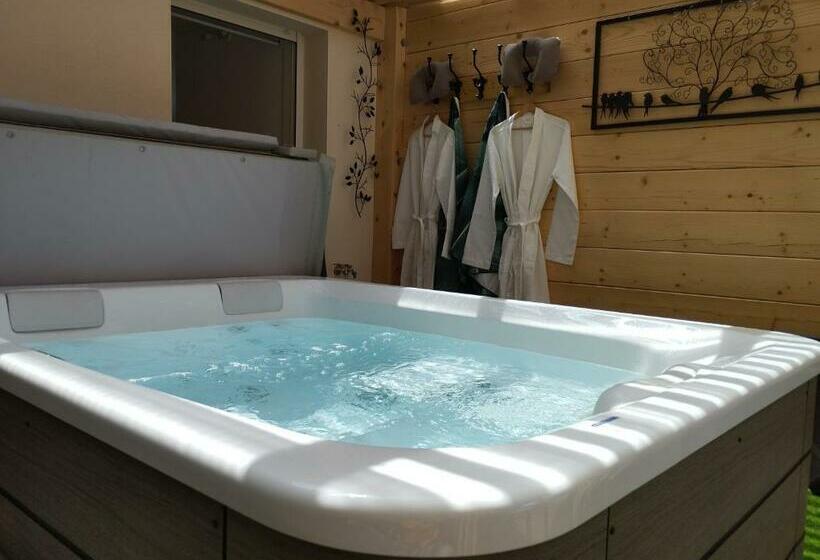 ベッドアンドブレックファースト Le Spa Panoramique Du Plateau