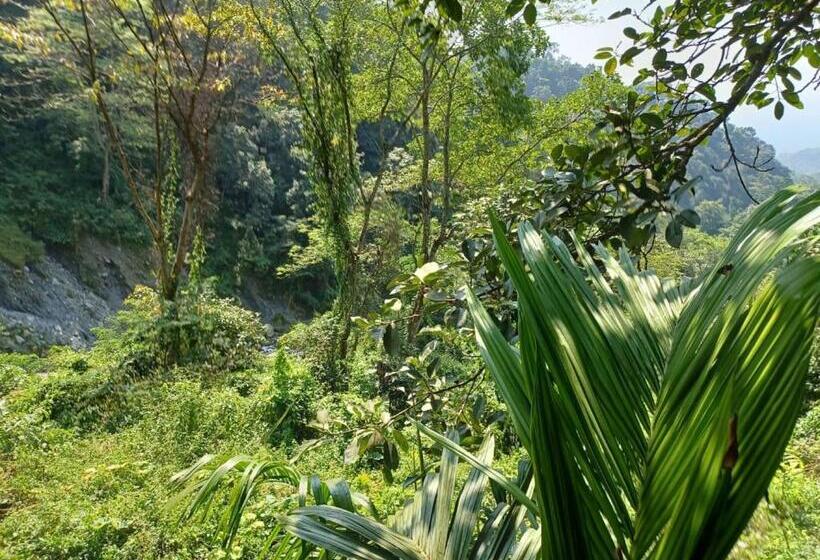 Dooars Velley Home Stay