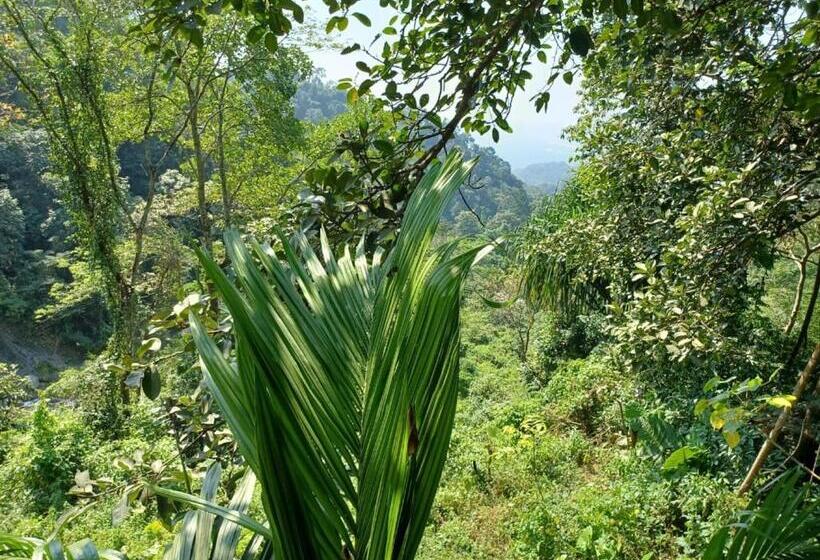 Dooars Velley Home Stay