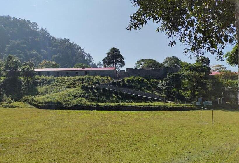 Dooars Velley Home Stay