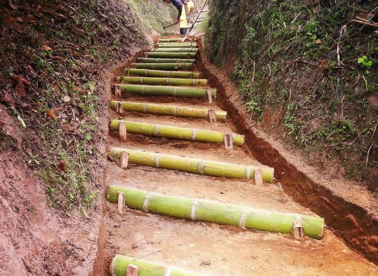 호텔 Café Tío Conejo. Finca