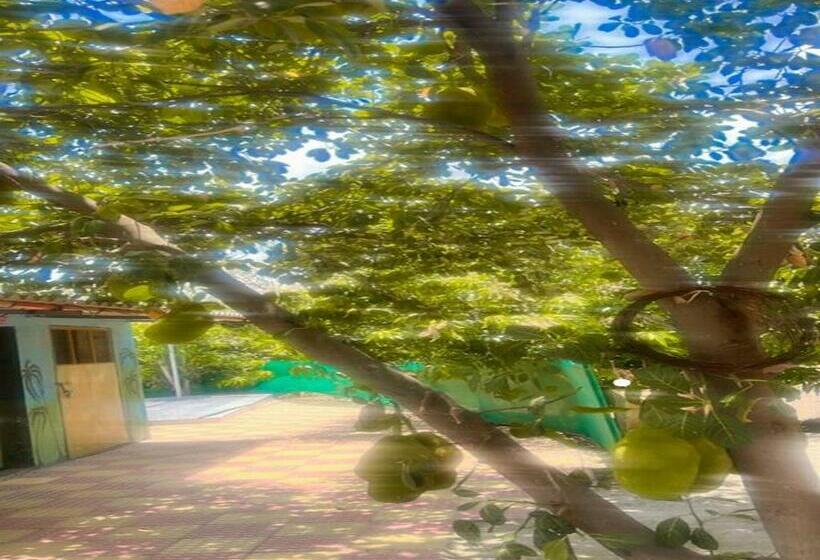 בית מלון כפרי Manav Farm House Karjat