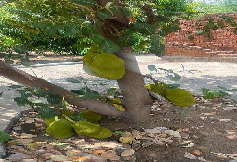 בית מלון כפרי Manav Farm House Karjat