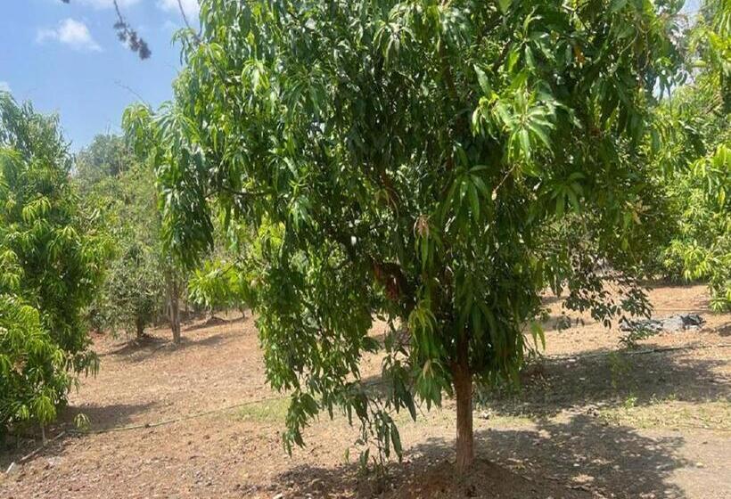 בית מלון כפרי Manav Farm House Karjat