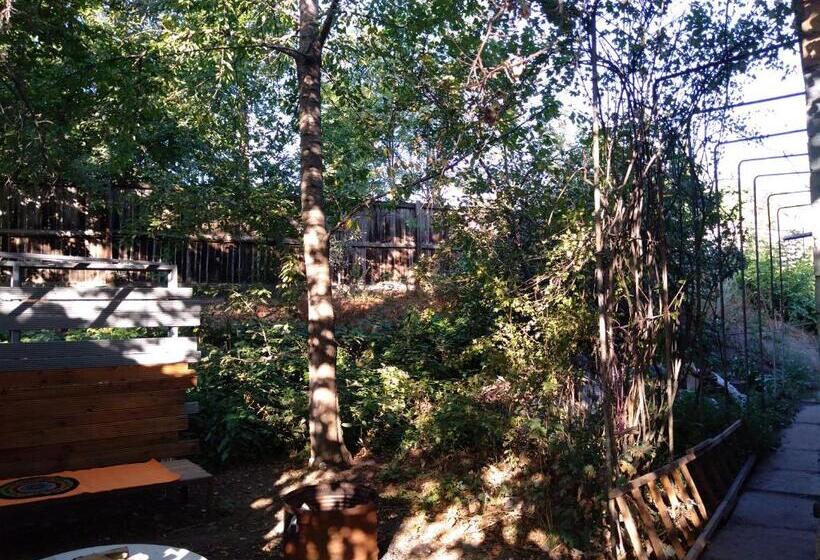 هاستل Bishkek Almaty Stopover