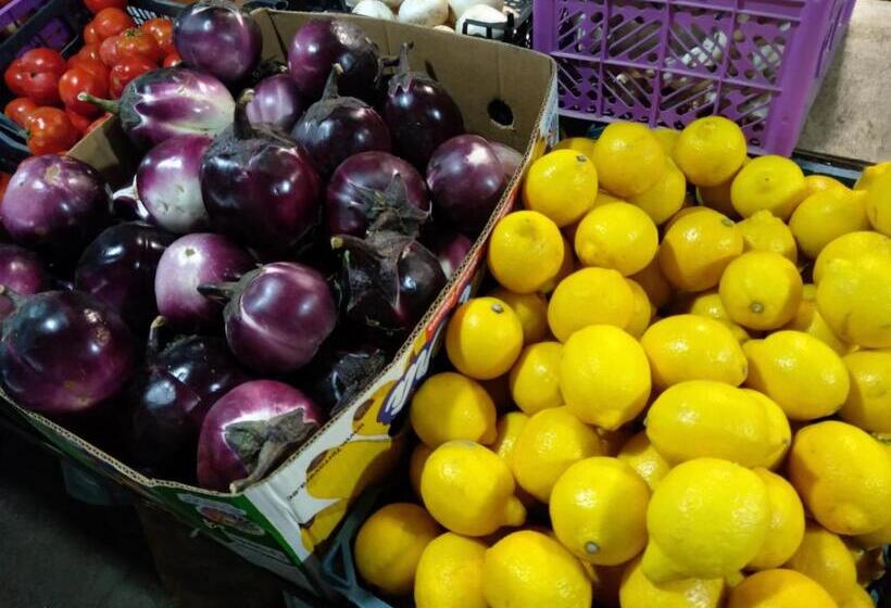 هاستل Bishkek Almaty Stopover