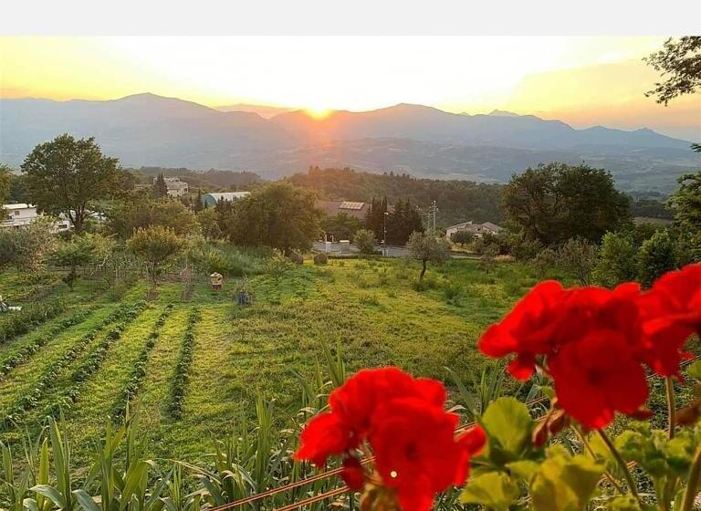 פנסיון Affittacamere Porta Majella