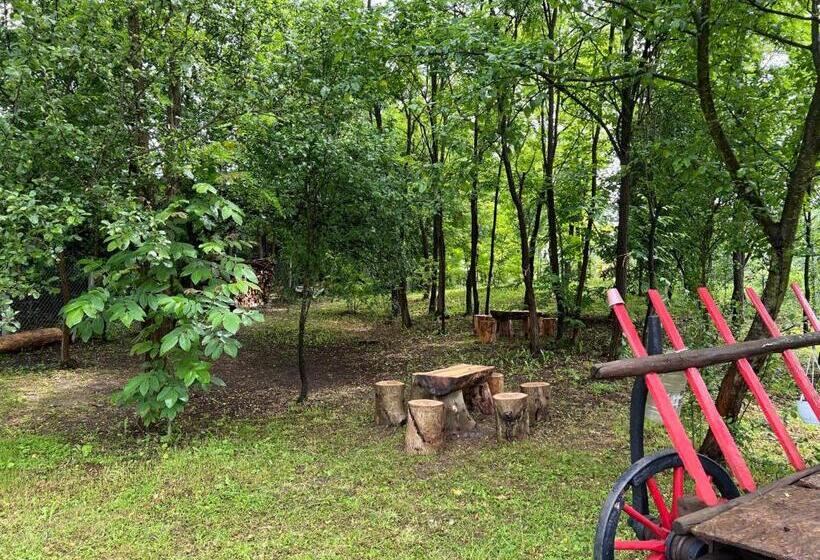 펜션 Bigala Ocnele Mari