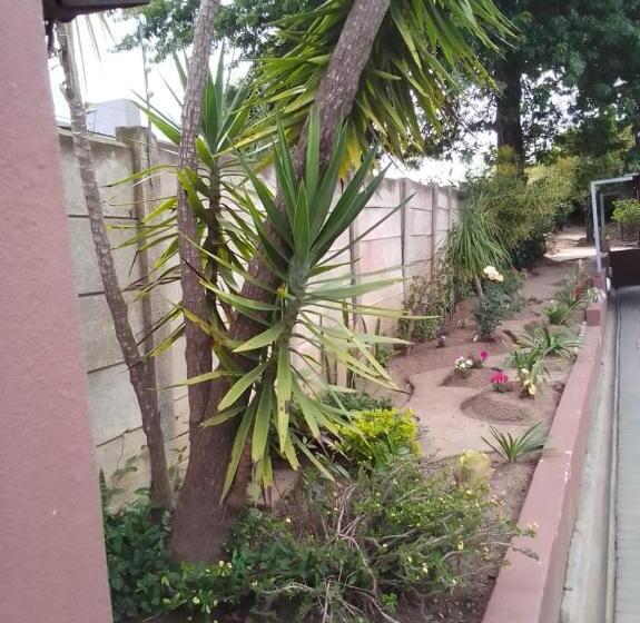 פנסיון Liyoli Guesthouse