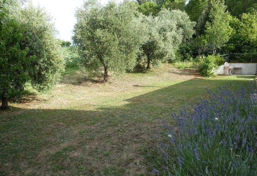 펜션 Papaveri Del Conero Affittacamere