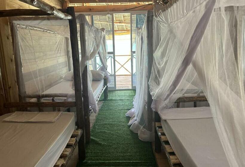 فندق صغير Coconuts Bandas