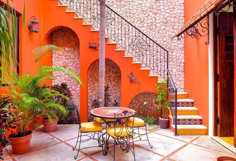 Bed and Breakfast Casa Oasis Guest House And Spa