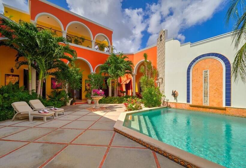 Bed and Breakfast Casa Oasis Guest House And Spa