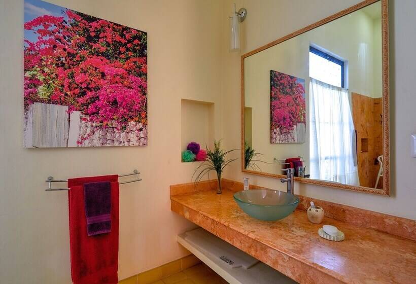 Bed and Breakfast Casa Oasis Guest House And Spa