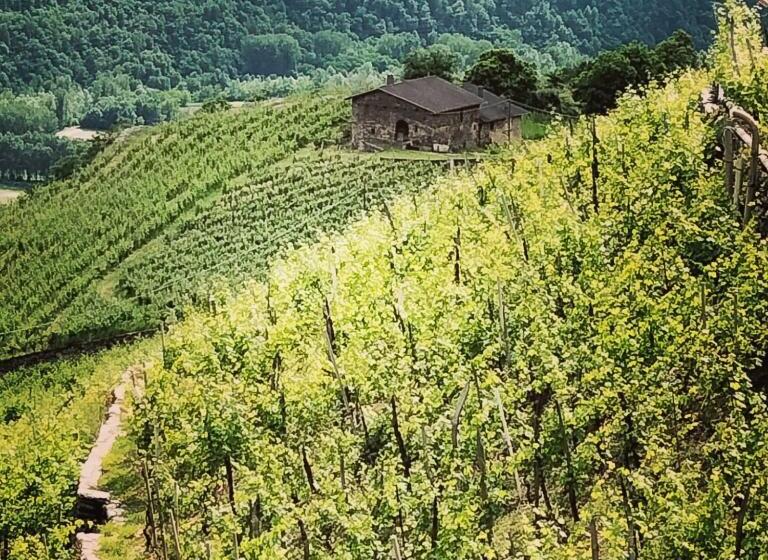 צימר Il Posto Al Sole