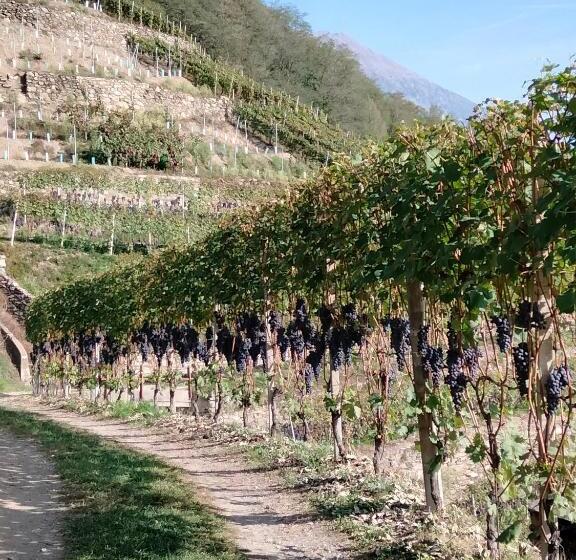 צימר Il Posto Al Sole