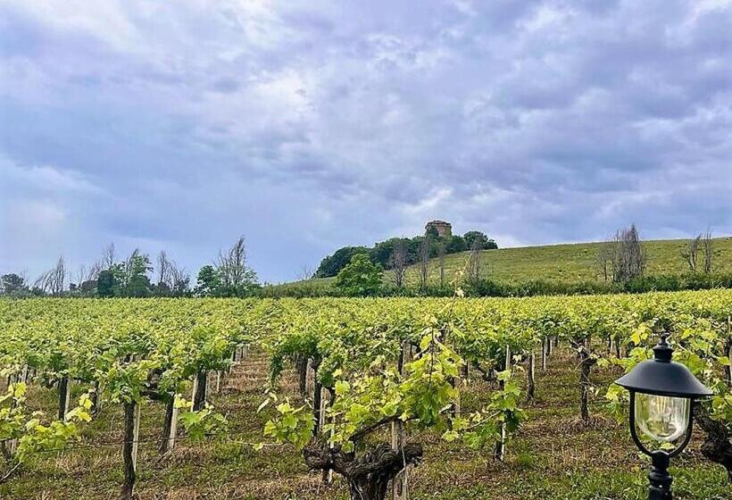 Vigneto Italian Restaurant & B&b