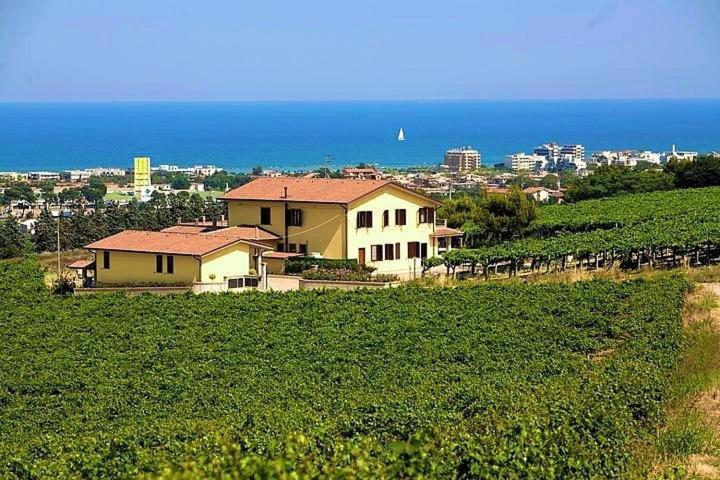 Vigneto Italian Restaurant & B&b