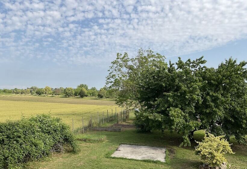 مبيت وإفطار Ozium