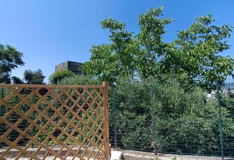 住宿加早餐 Passariello