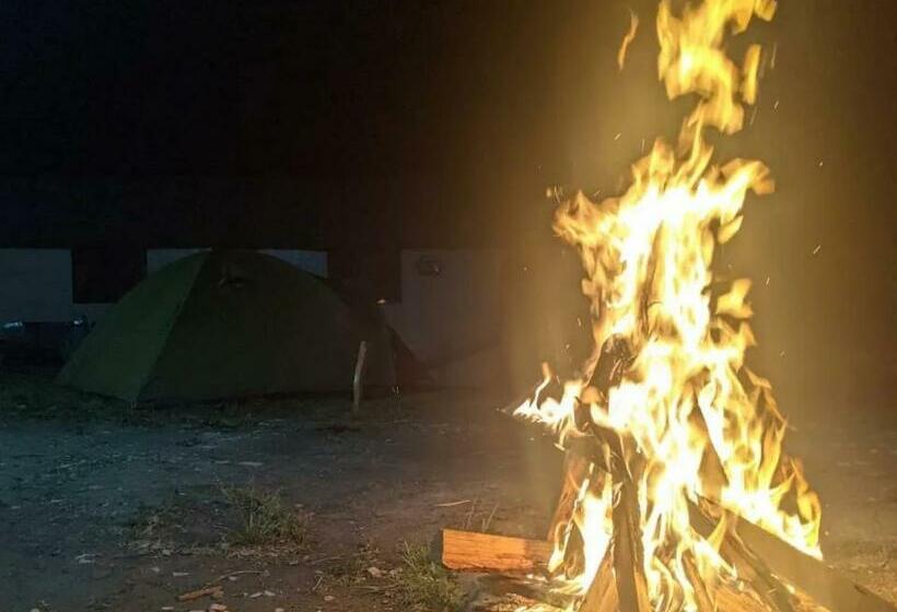 ホテル Alpine Lodge And Stays