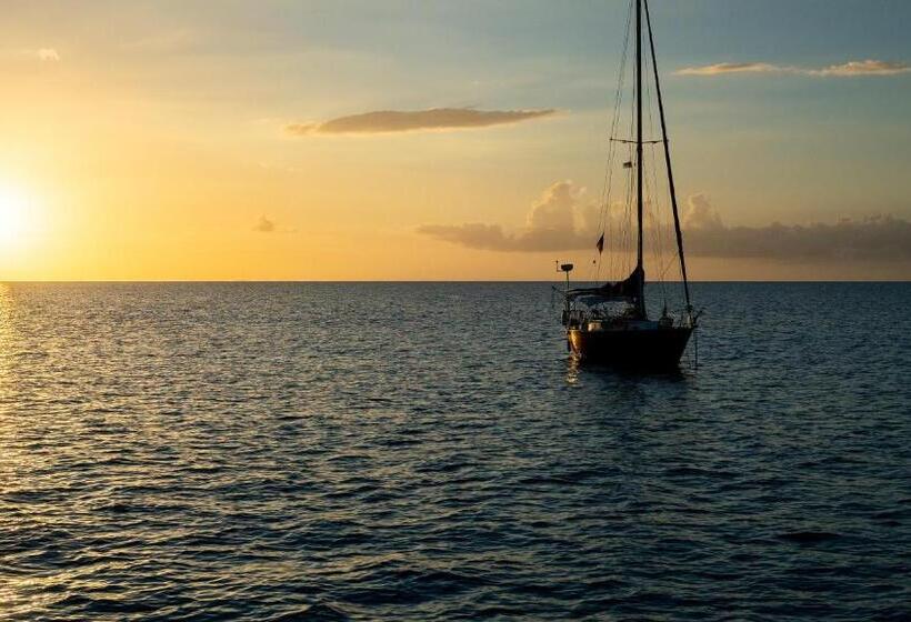 酒店 Bungalows On The Bay