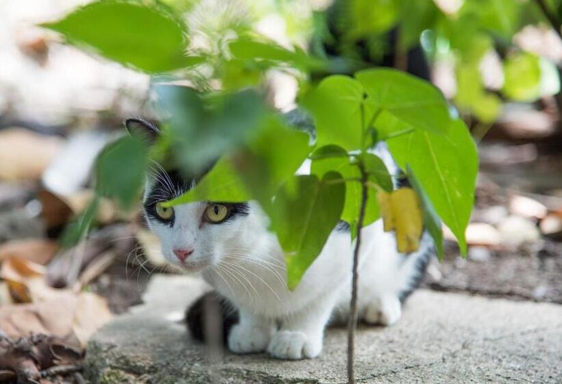 酒店 Bungalows On The Bay