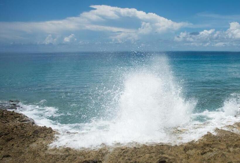 酒店 Bungalows On The Bay