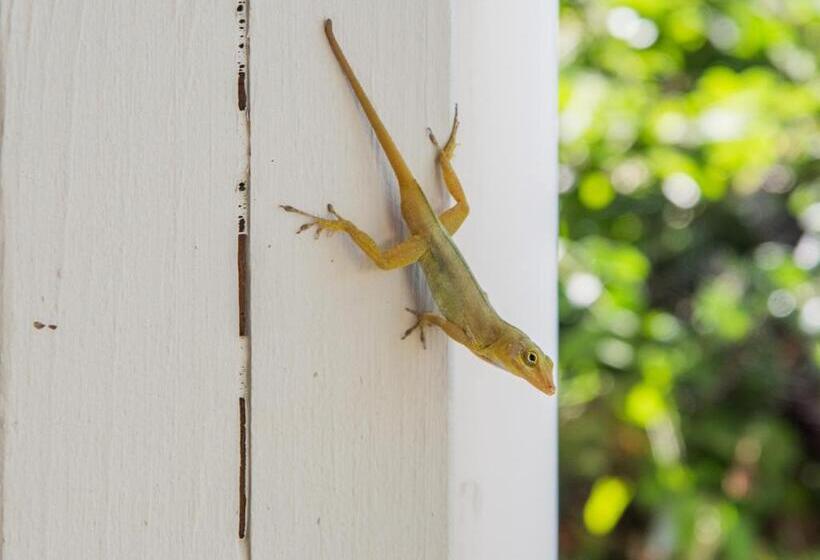酒店 Bungalows On The Bay