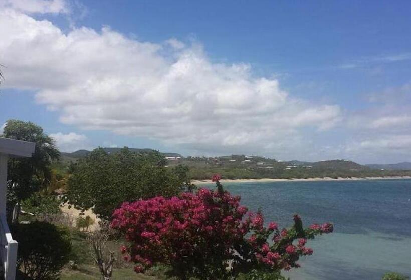 酒店 Bungalows On The Bay