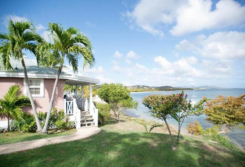 酒店 Bungalows On The Bay