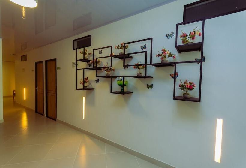 Отель Luna Verde By Del Toro