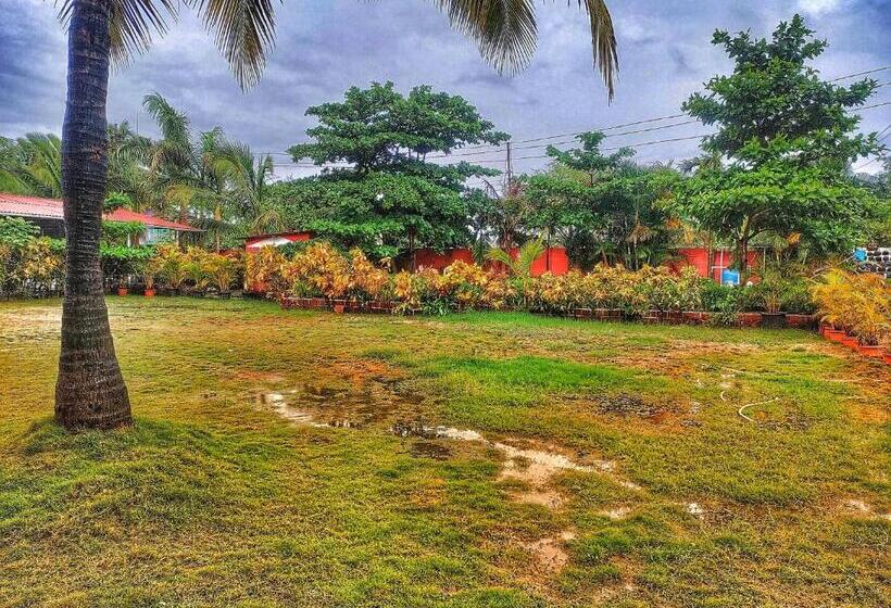 בית מלון כפרי Opulence Resort Awas Alibaug