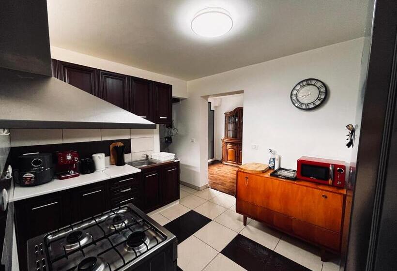 بنسيون Casa Visurilor