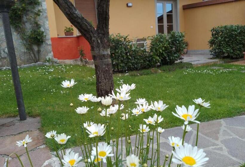 פנסיון Le Sette Fontane