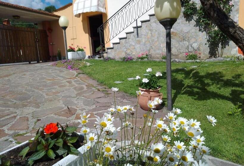 פנסיון Le Sette Fontane