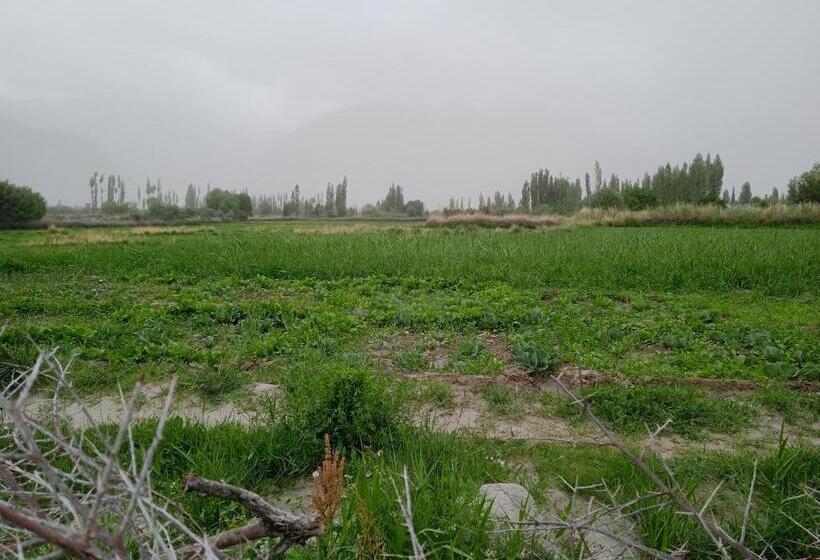 بنسيون Nubra Holiday