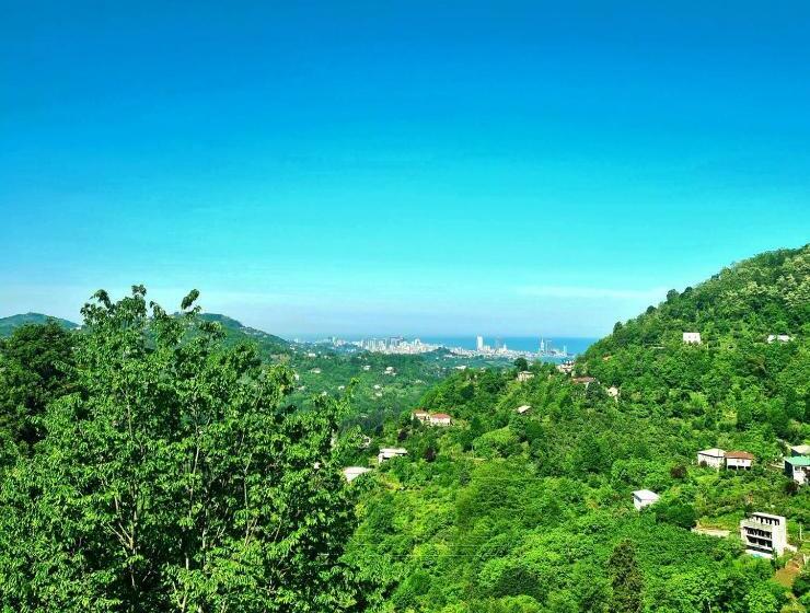 پانسیون Old House Korolistavi