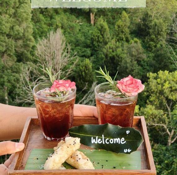 פנסיון U Garden