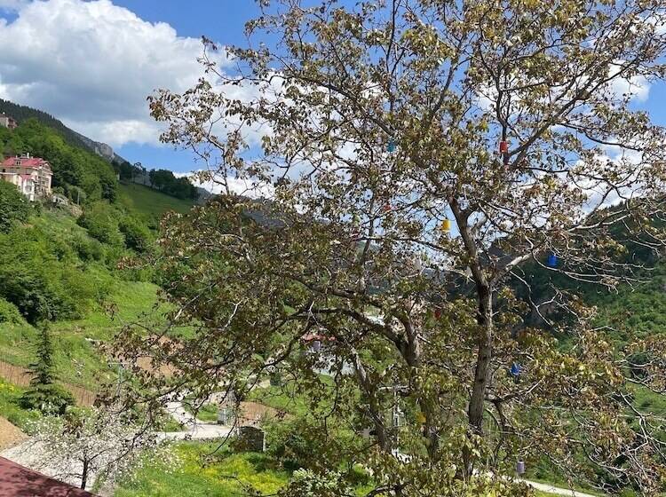 منتجع Bizim O Ra Küme Evleri & Bungalov