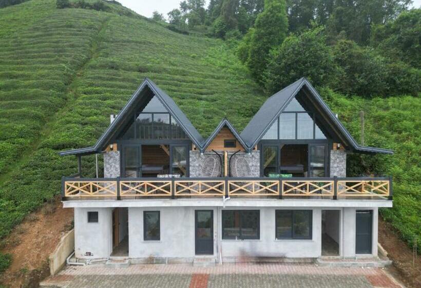 ユースホステル Blacksea House