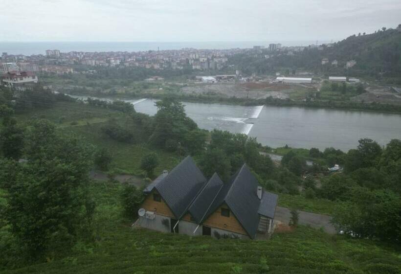 ユースホステル Blacksea House