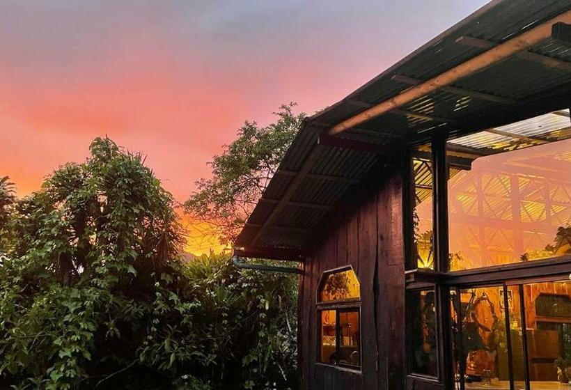 فندق صغير Casa Colibrí Chirripó